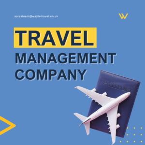 Travel Management Company text with a small model plane sat on a passport.